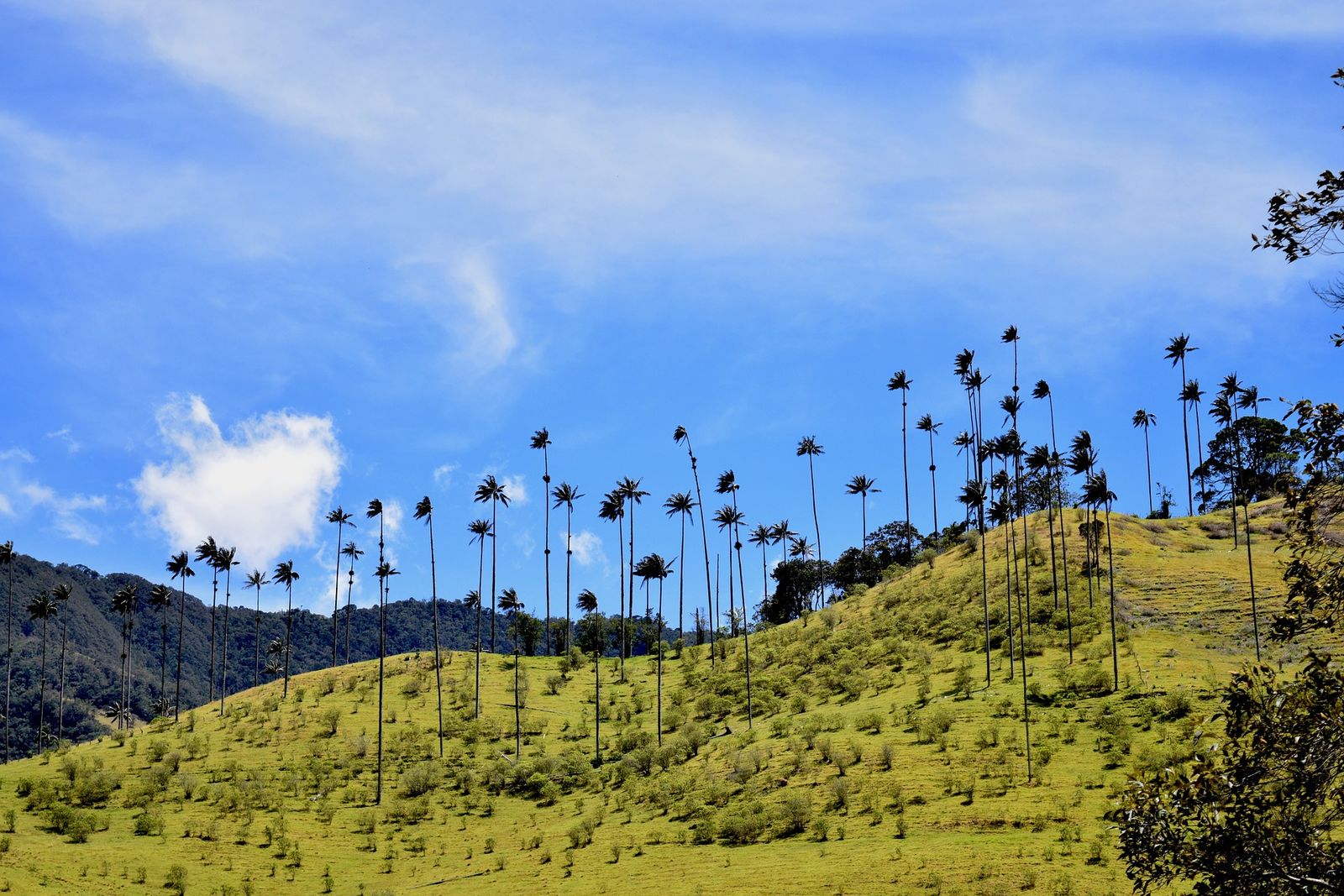 Op avontuur in Colombia