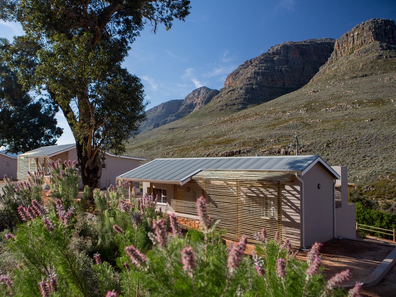 17 daagse  Zuid-Afrika – Westkaap en Oostkaap