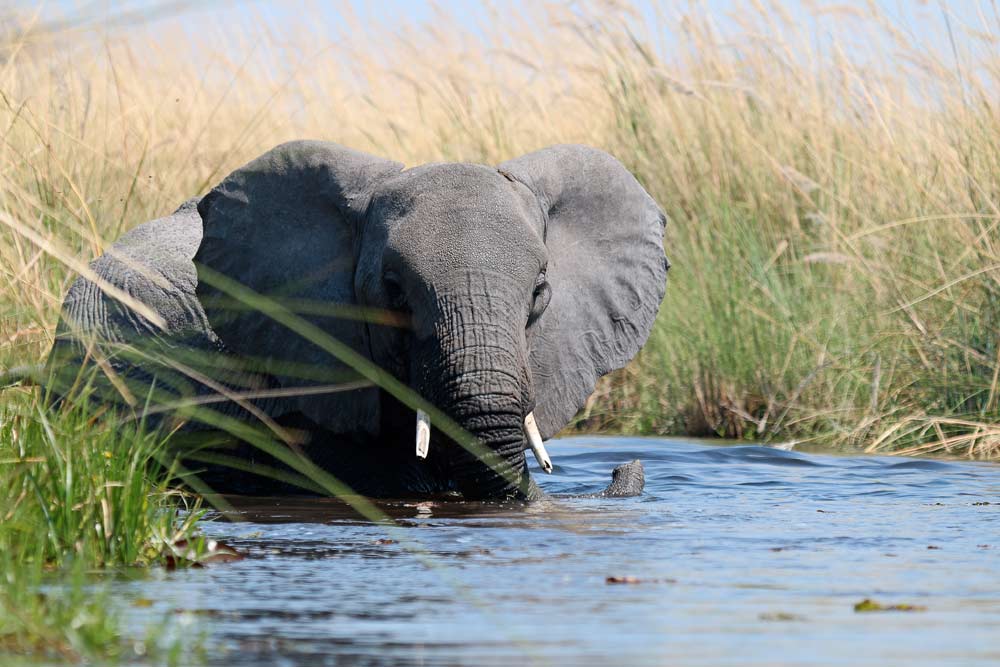 21 daagse Namibia en Botswana Southern Circle comfort safari