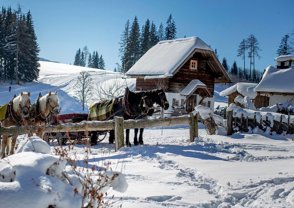 8 daagse  Oostenrijk – Dachstein