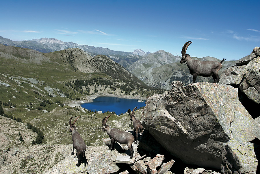 8 daagse  Frankrijk – Mercantour