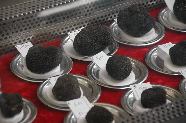 8 daagse  Italië – Piemonte