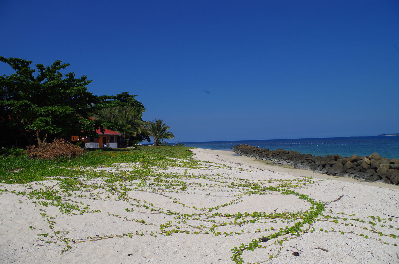 Het beste van Borneo