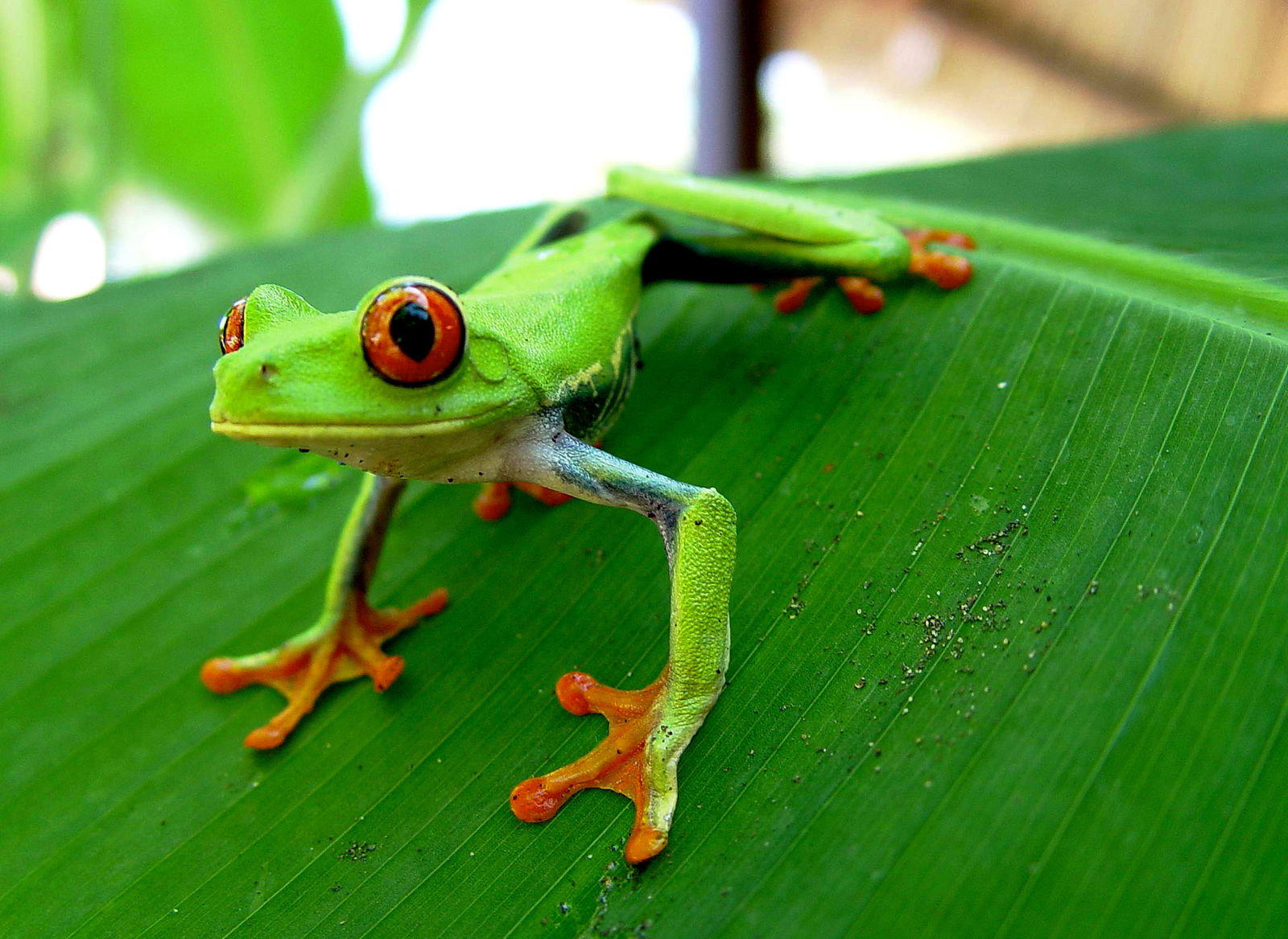 Costa Rica Avontuurlijk