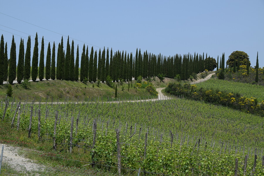 8 daagse  Italië – Toscane-Val d’Orcia