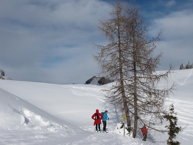 8 daagse  Oostenrijk – Salzburgerland