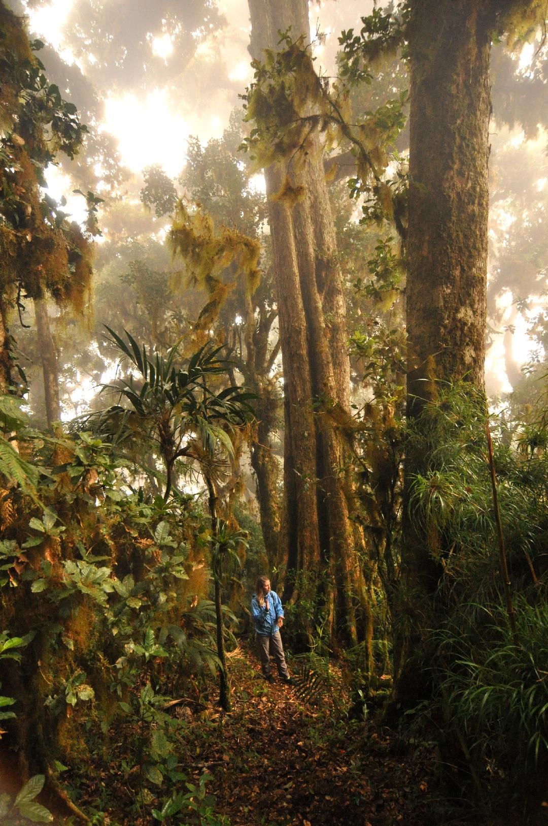 Panama Buiten de Gebaande Paden