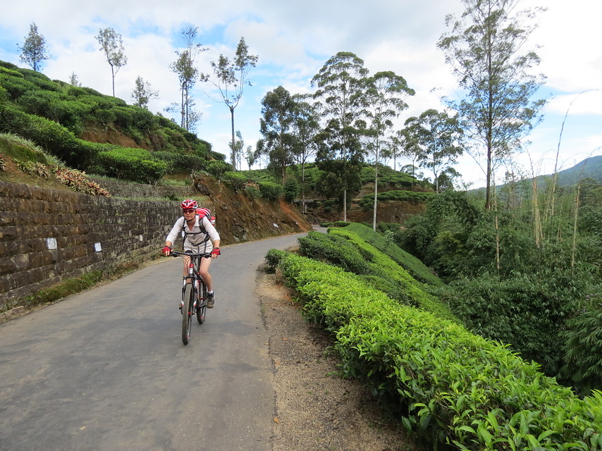 14 daagse  Sri Lanka – Individuele fietsreis