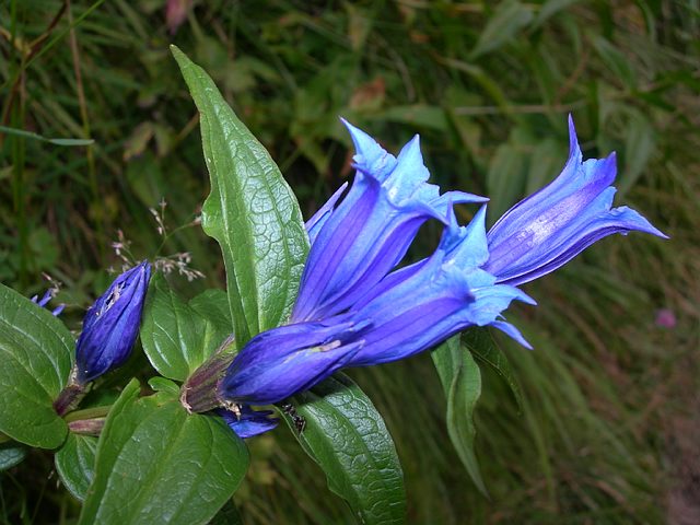 8 daagse  Oostenrijk – Silvretta