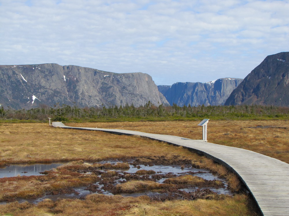 16 daagse  Canada – Hiking Newfoundland