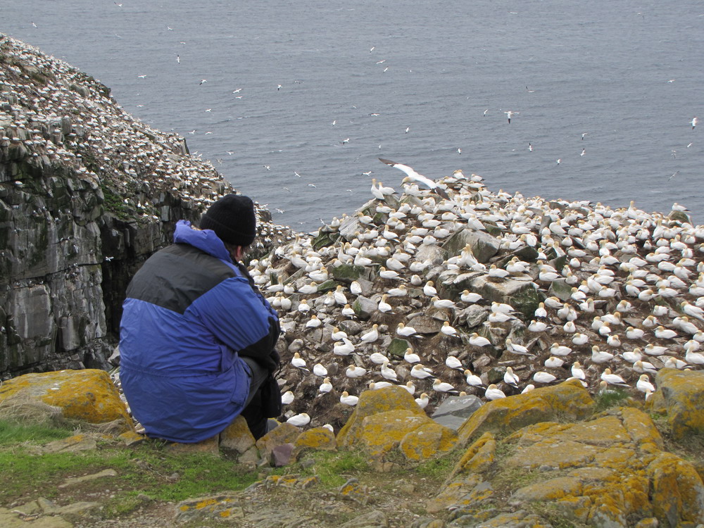 16 daagse  Canada – Hiking Newfoundland