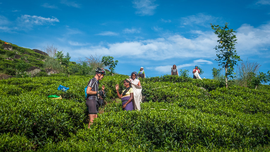 14 daagse  Sri Lanka – Individuele fietsreis