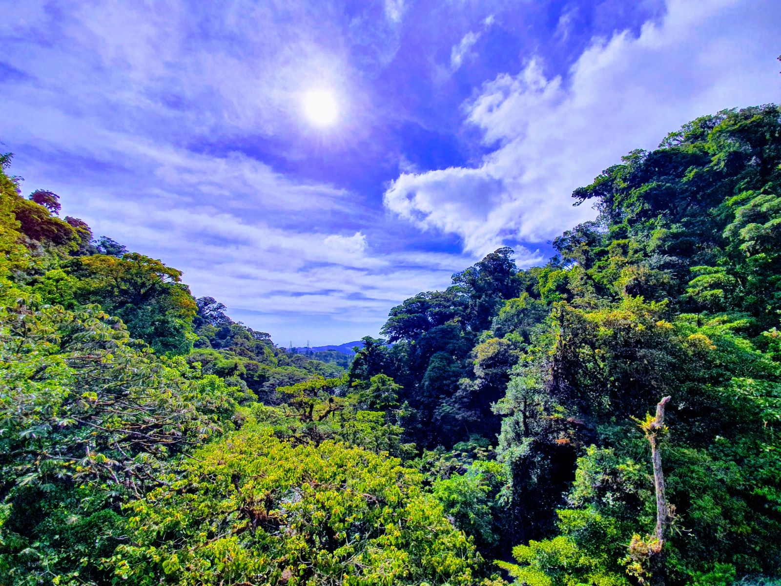 Costa Rica in een notendop