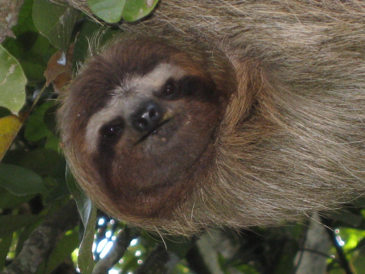 Panama Perfecto (evt. met verlenging San Blas)