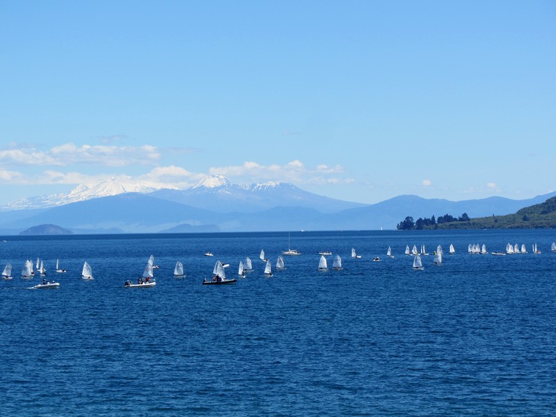 17 daagse  Nieuw-Zeeland – Noordereiland