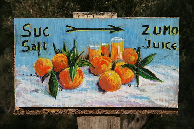 8 daagse  Spanje – Mallorca