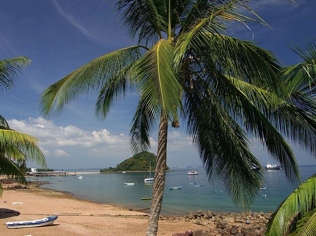 Panama Perfecto (evt. met verlenging San Blas)