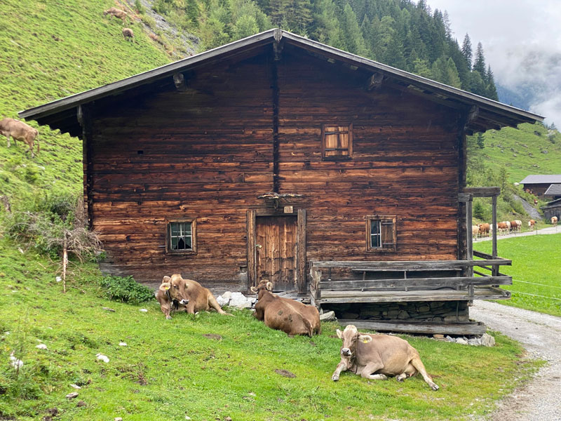 8 daagse  Oostenrijk – Zillertal