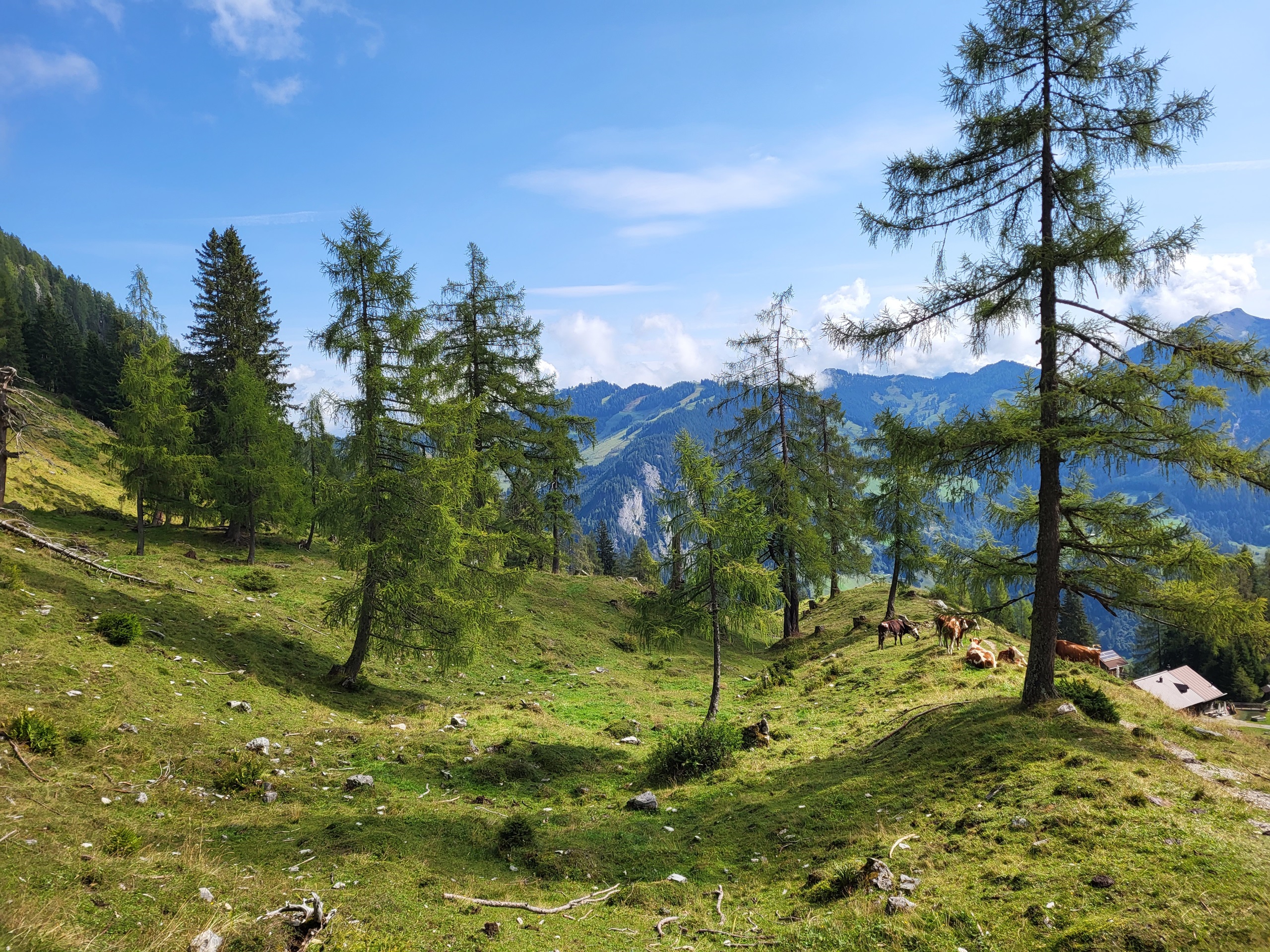 8 daagse  Oostenrijk – Grossarltal