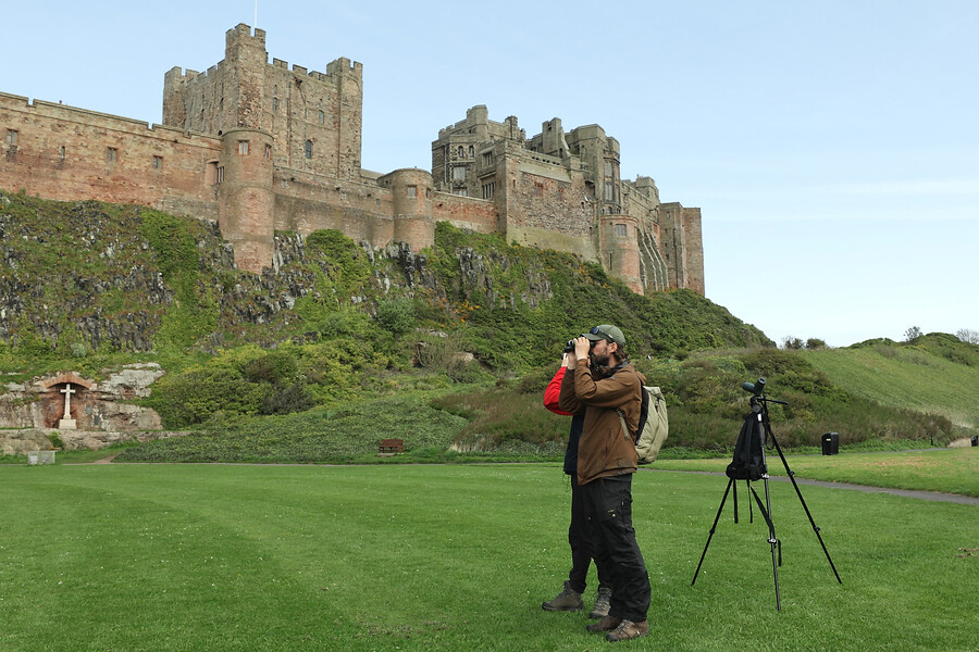 6 daagse  Groot-Brittannië – Engelse Noordzeekust – vogelreis