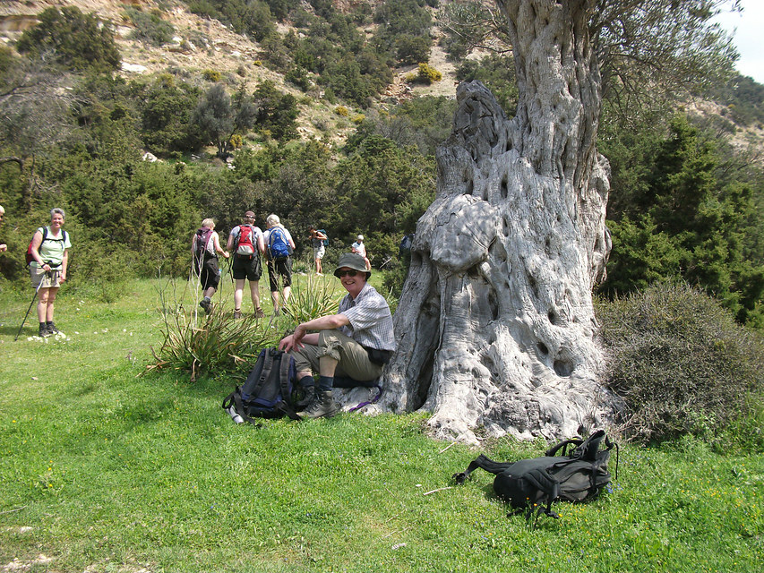 8 daagse  Cyprus – Wandelrondreis Grieks Cyprus