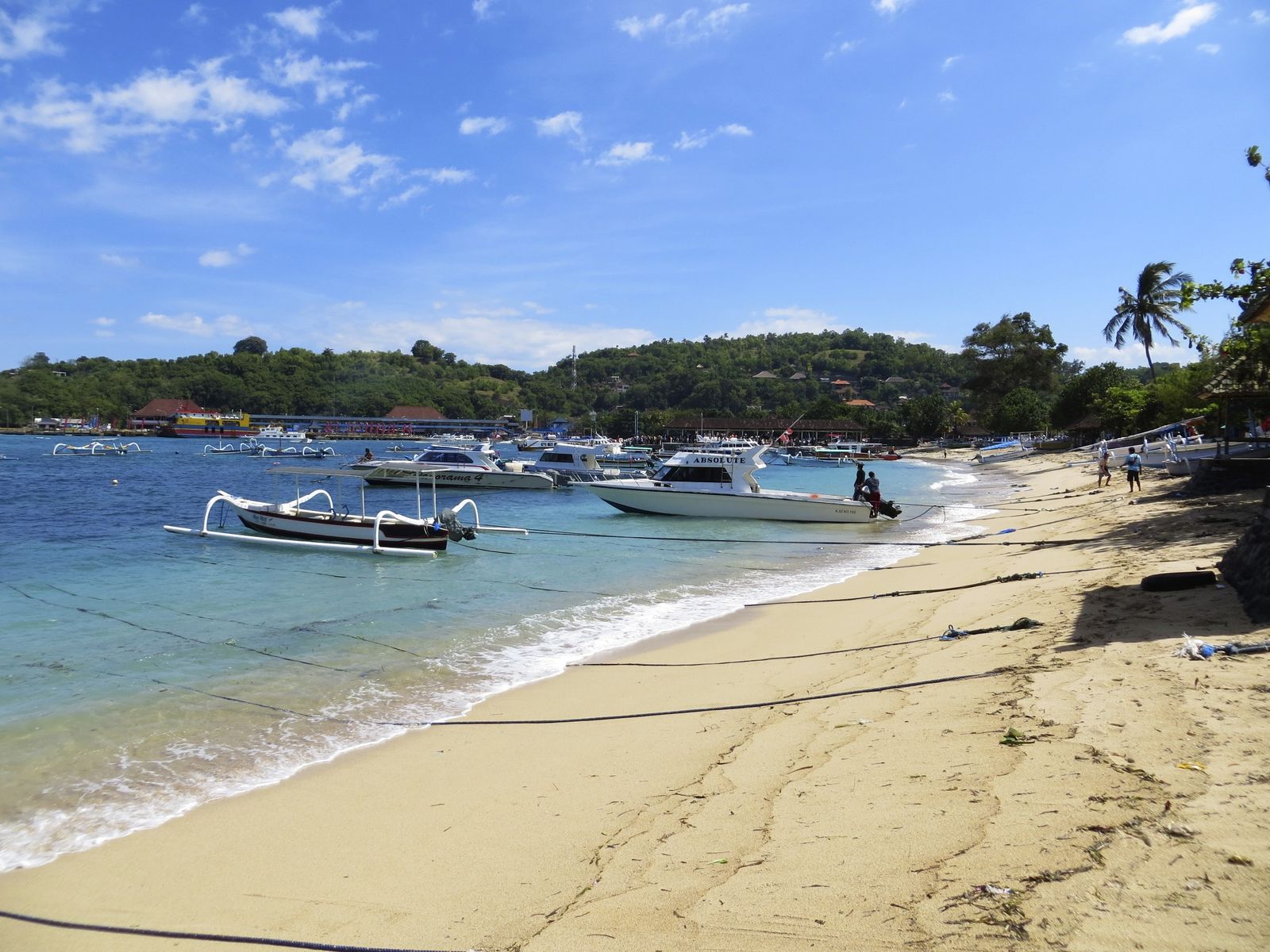 Tropische verrassingen