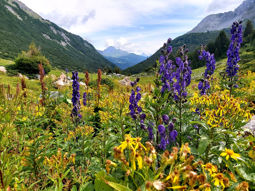 8 daagse  Oostenrijk – Lechtal
