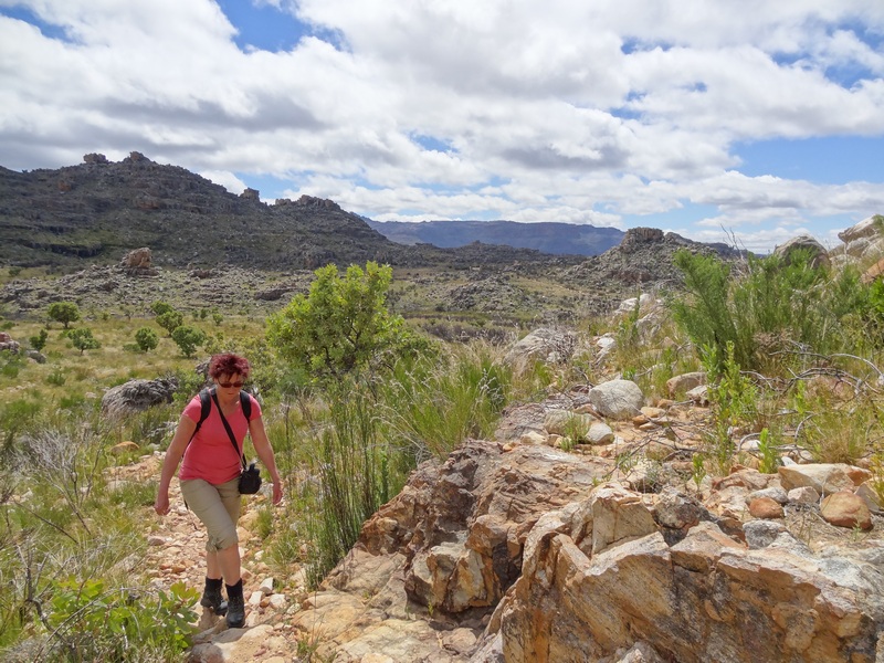 17 daagse  Zuid-Afrika – Westkaap en Oostkaap
