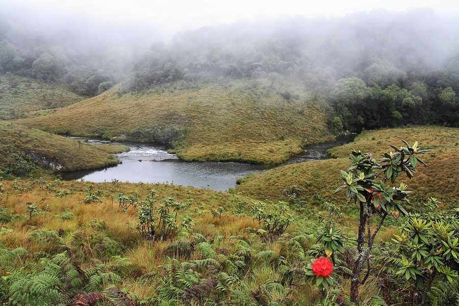 17 daagse  Sri Lanka – Rondreis