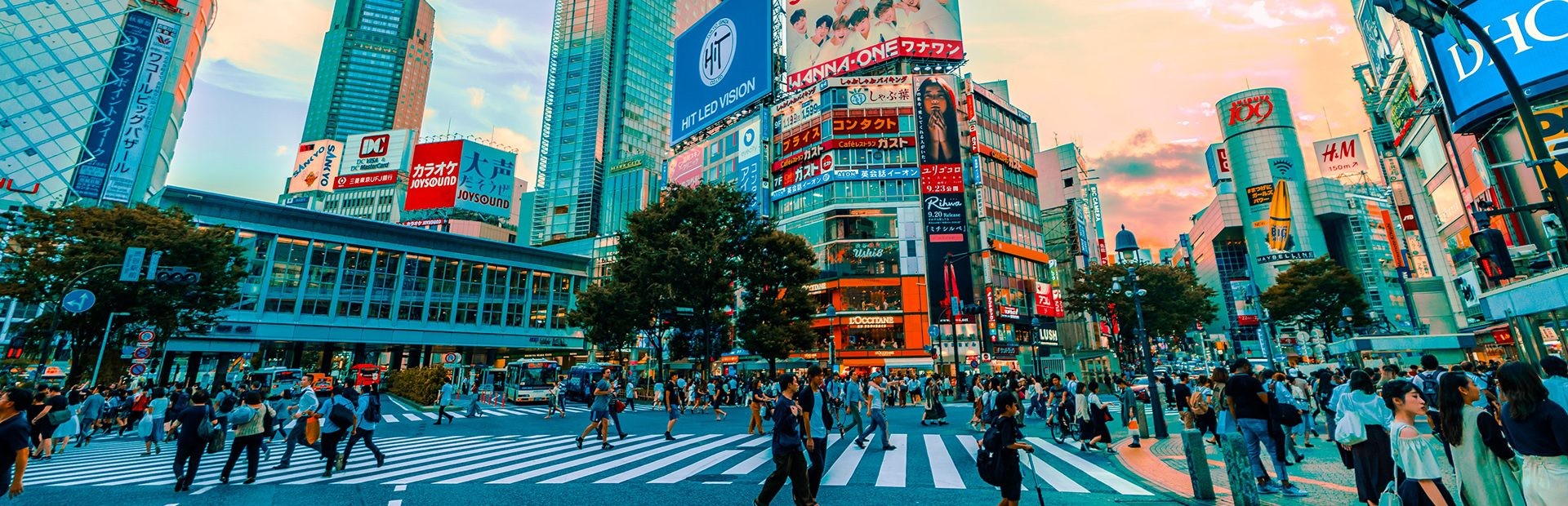 Van Osaka naar Kamakura: Wolkenkrabbers, Japanse Alpen en strand