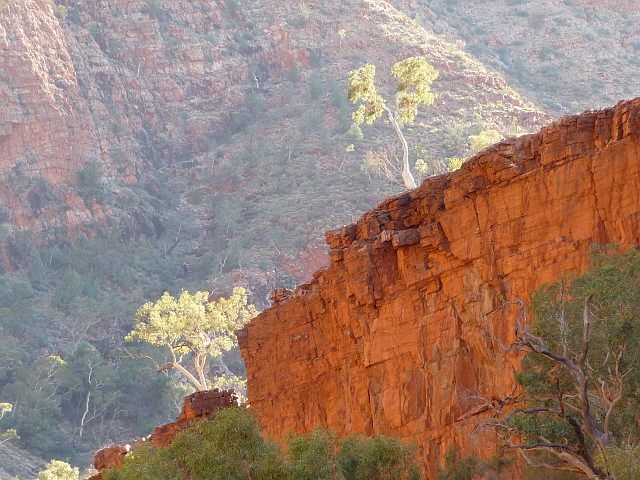 8 daagse  Australië – Red Centre