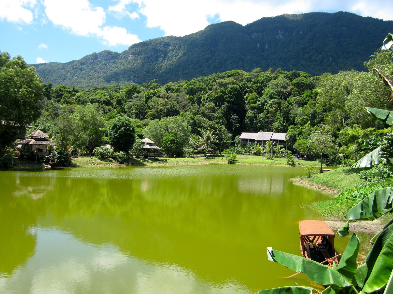 Tradities, regenwoud en strand