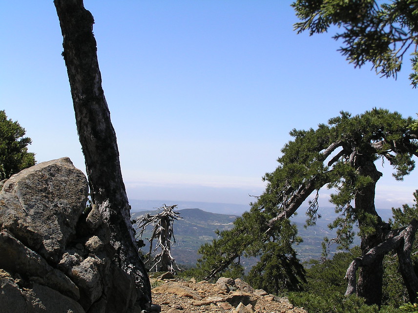 8 daagse  Cyprus – Wandelrondreis Grieks Cyprus