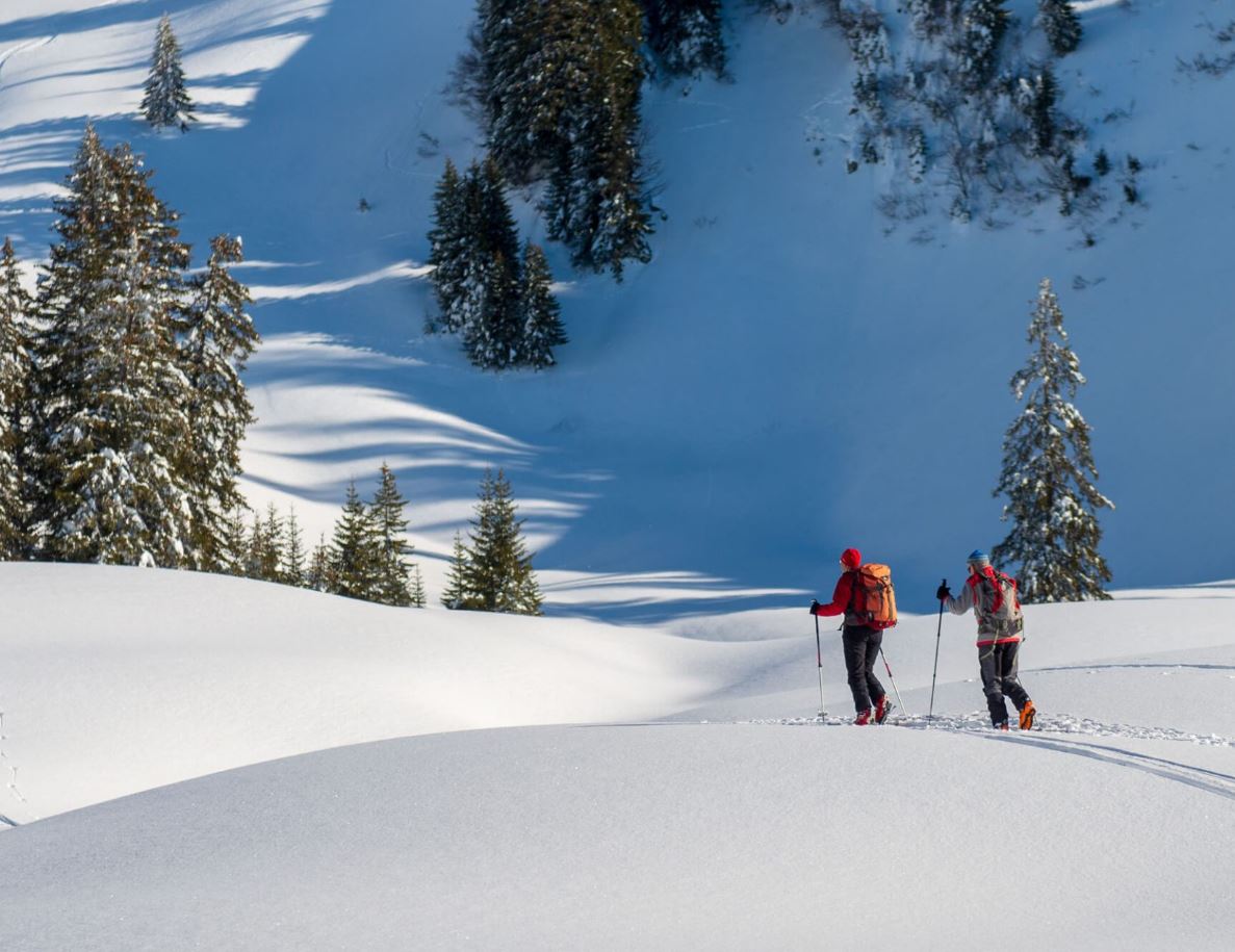 8 daagse  Oostenrijk – Dachstein