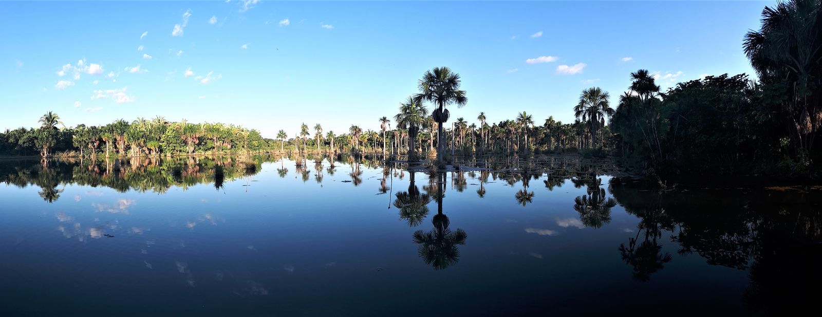 Route van de emoties