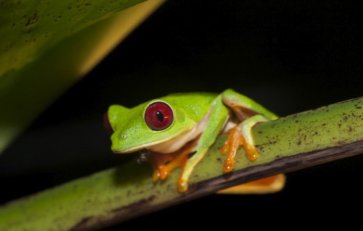 Costa Rica off the beaten track