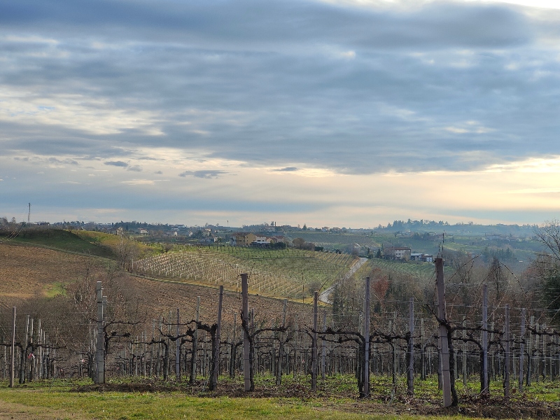 7 daagse  Italië – Veneto
