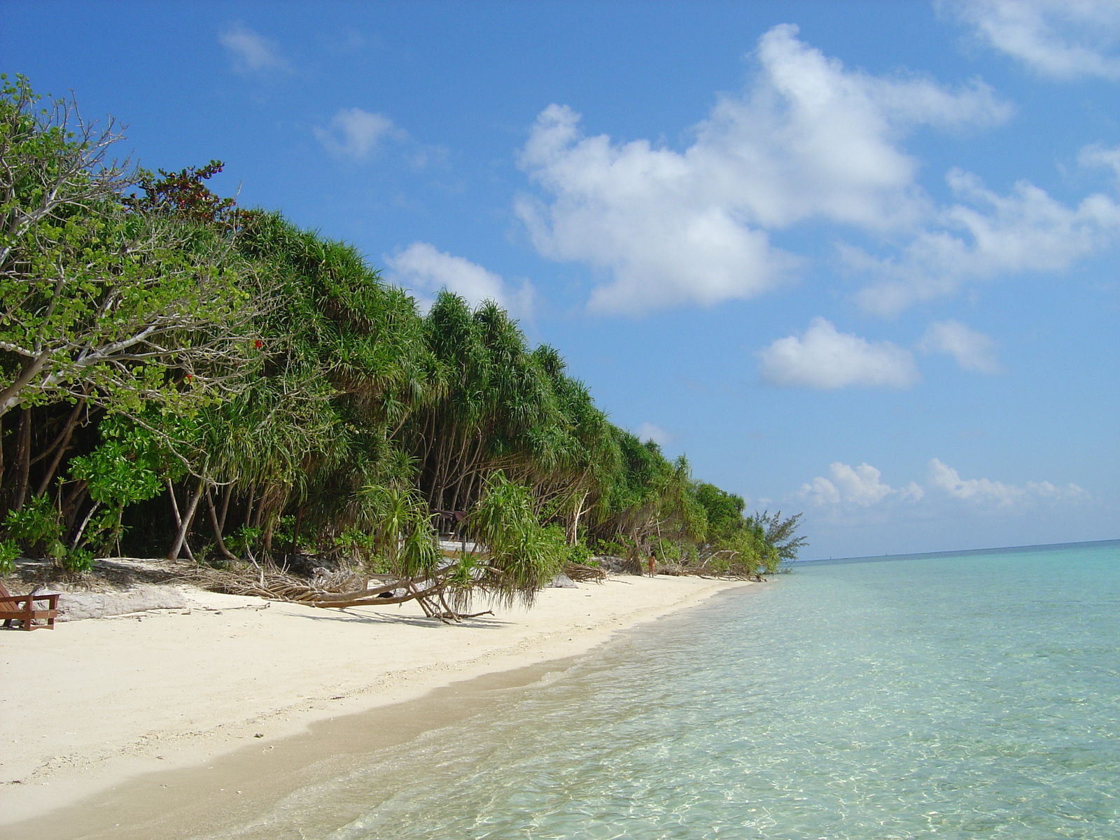 Het beste van Borneo