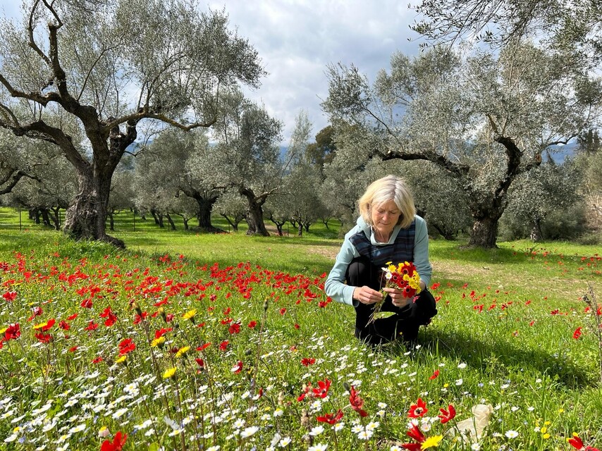 15 daagse  Griekenland – Peloponnesos