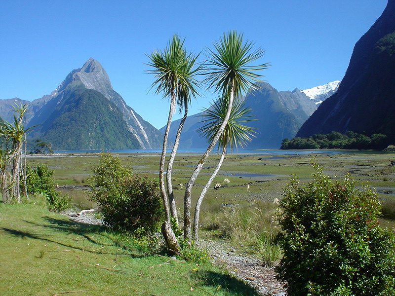 23 daagse  Nieuw-Zeeland – Noorder- en Zuidereiland