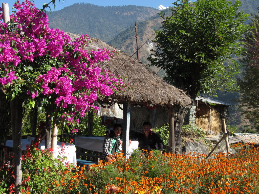 19 daagse  Nepal – Panorama