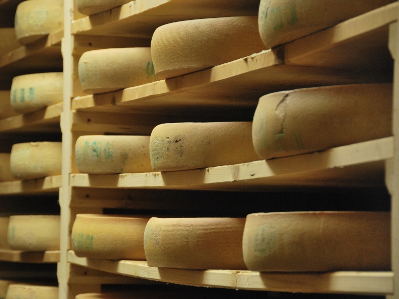 9 daagse  Frankrijk – Jura