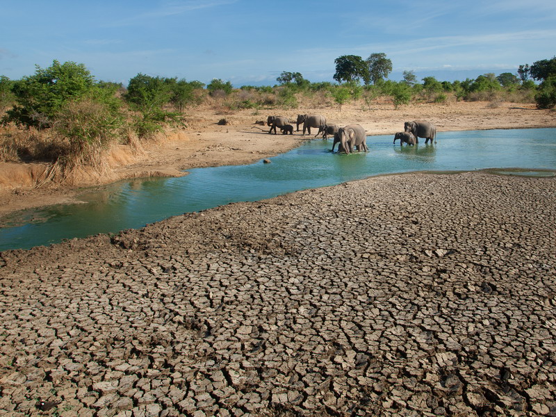 14 daagse  Sri Lanka – Individuele fietsreis