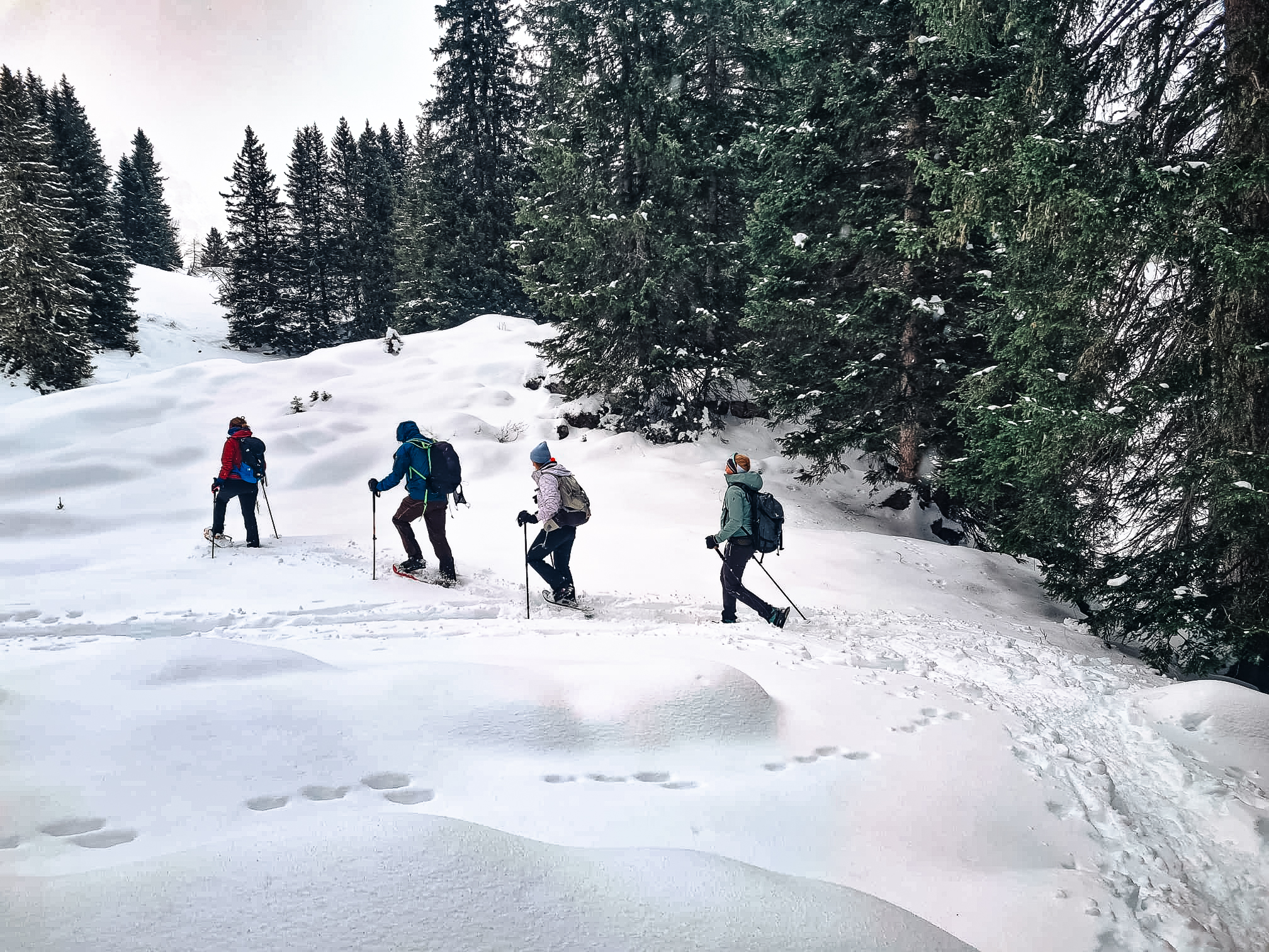 5 daagse  Oostenrijk – Wipptal