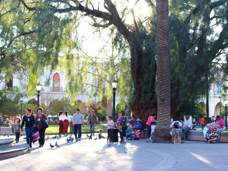 Comfort rondreis Argentinië