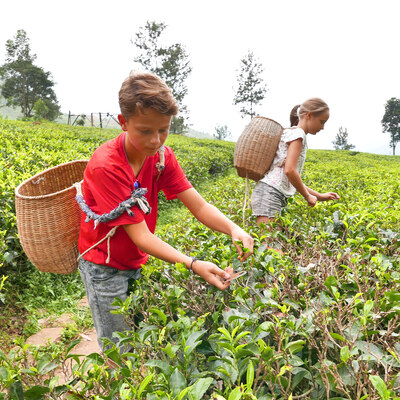 Familierondreis Sri Lanka