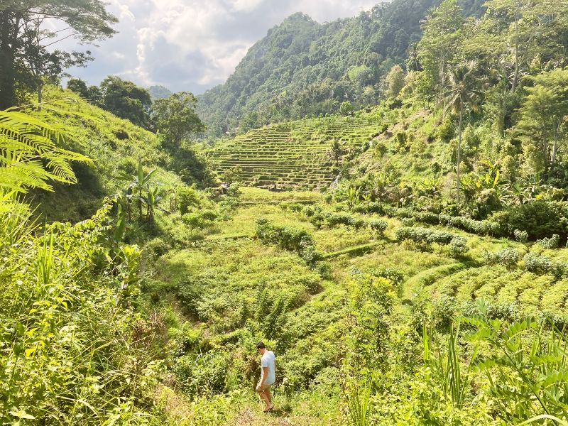 Rondreis Tienerstreken in tempelparadijs