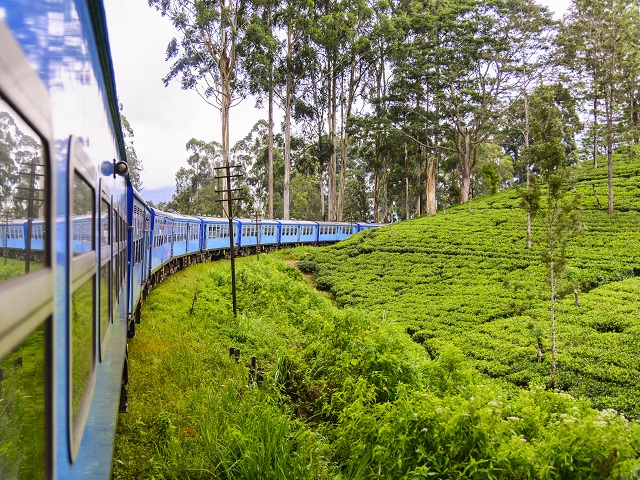 Classic Ceylon