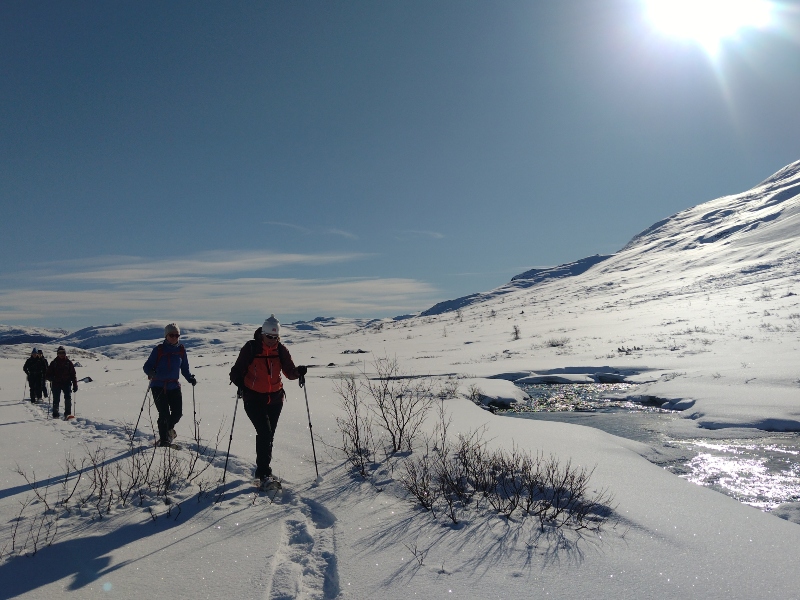 8 daagse  Noorwegen – Filefjell