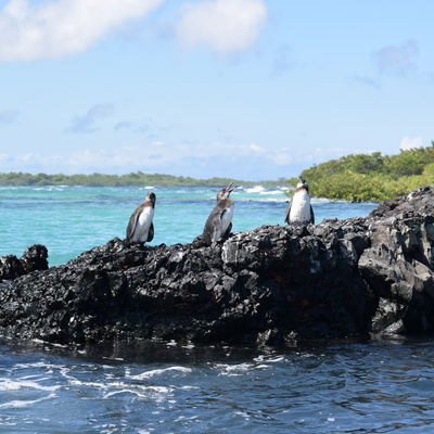 Rondreis Ecuador & Galapagos